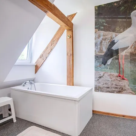 Premium By Interhome 別荘 Dobra